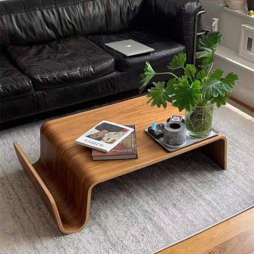 Mid-Century Modern Molded Plywood Coffee Table with Integrated Magazine Rack - Coffee table - QONKA HOME