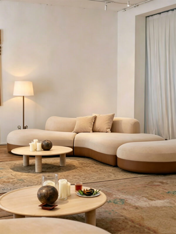 Nordic Minimalist, Retro, and Wabi-Sabi Styles; Curved Sofa