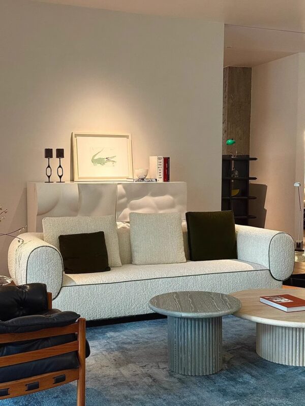 QONKA Vintage-style Sofa, Light Luxury Minimalist Curved Sofa product detail image